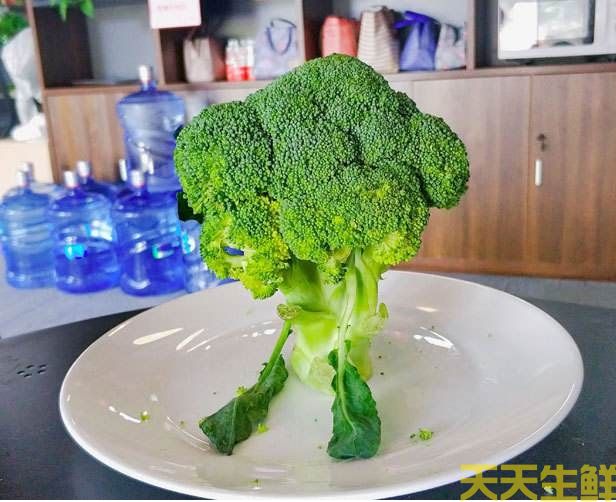 節(jié)日送花選擇蔬菜花，經(jīng)濟實惠的浪漫(圖2)