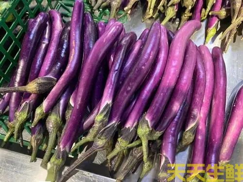 廣州農(nóng)產(chǎn)品配送公司告訴你，常見茄子的種類有哪些？(圖3)