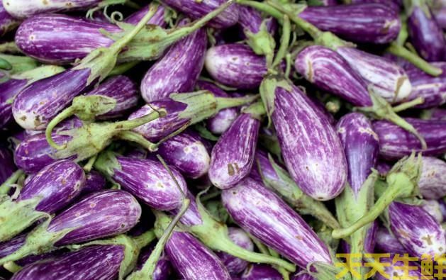 廣州農(nóng)產(chǎn)品配送公司告訴你，茄子的種類有哪些？(圖6)