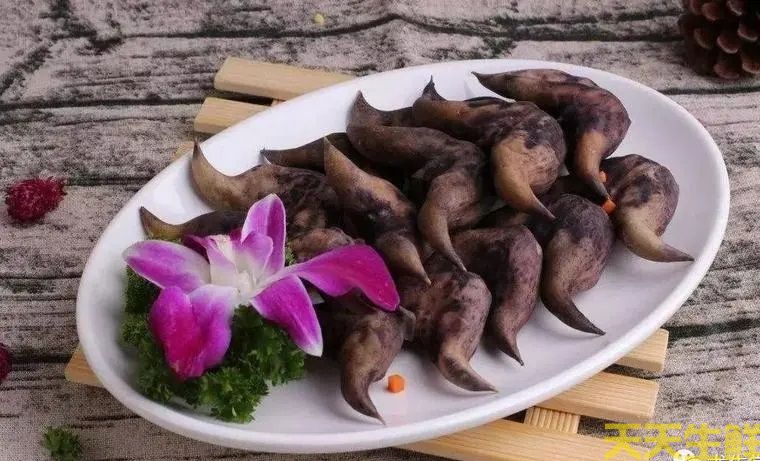 廣州蔬菜配送公司告訴你，菱角怎么吃？(圖2)