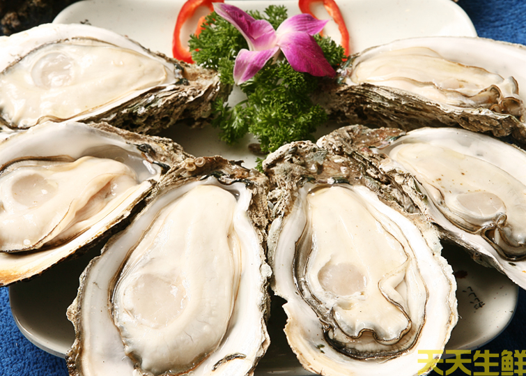 廣州送菜公司分享：常見(jiàn)的海鮮貝類(lèi)有哪些？(圖9)