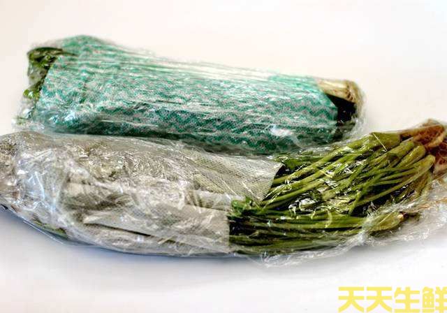 廣州蔬菜配送公司告訴你，蔬菜如何保鮮？(圖2)