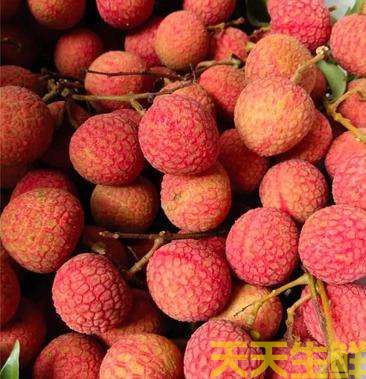 荔枝的品種有哪些？廣州蔬菜配送公司科普(圖4)