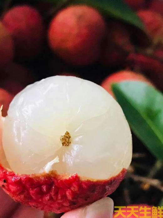 荔枝的品種有哪些？廣州蔬菜配送公司科普(圖16)