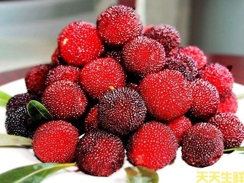 夏季炎熱吃什么水果好？廣州蔬菜配送公司分享6種消暑水果(圖6)