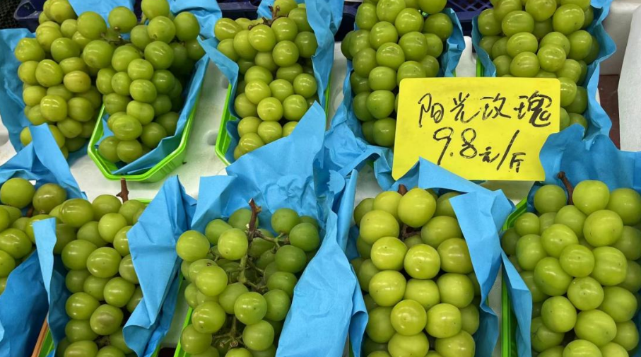 為什么陽光玫瑰青提的價格今年這么便宜？(圖2)