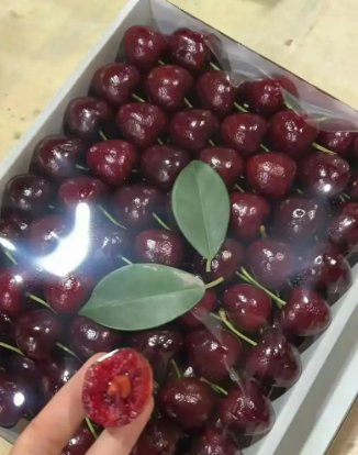 為什么今年車厘子這么便宜？(圖3)